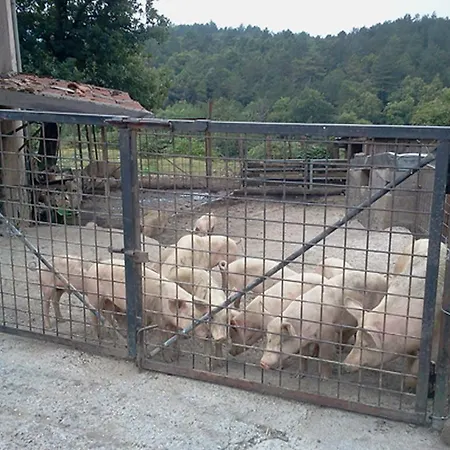 Feriegård La Debbia Ranch