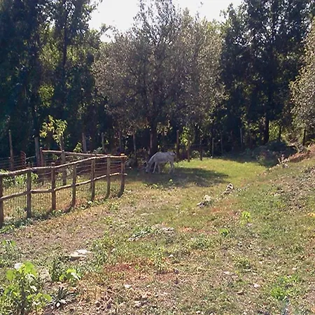Feriegård La Debbia Ranch *