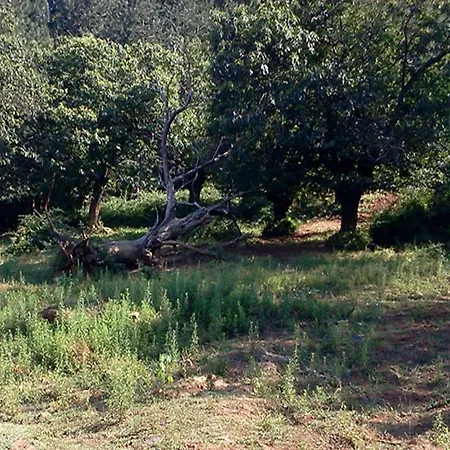 La Debbia Ranch Rocchetta di Vara