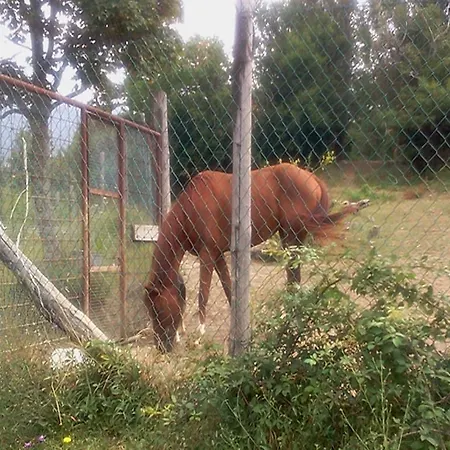 La Debbia Ranch * Rocchetta di Vara