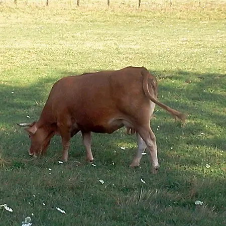 La Debbia Ranch Rocchetta di Vara